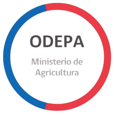 imgi_22_logo-ODEPA-TWITTER-removebg-preview